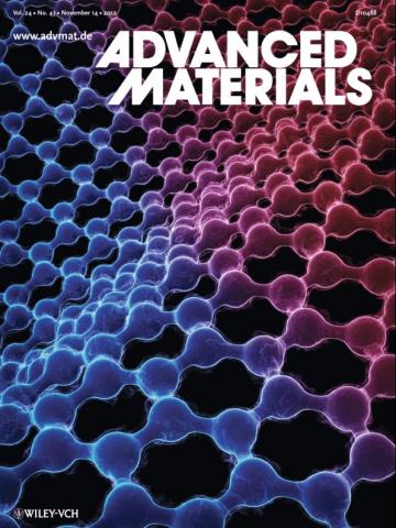 Adv Mat 2012