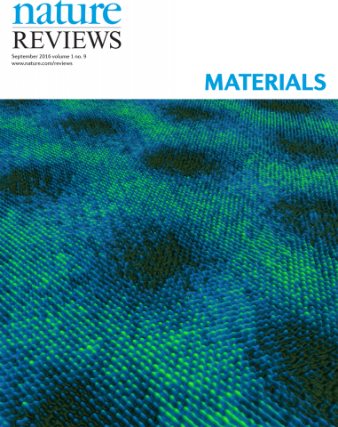 Nat Rev Mat 2016